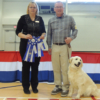 Britches – Judge Marie Sawford – Handler Bruce Brown – Rally Novice Legs 1 and 2 – Class 1st and 2nd Placement Rosettes – March 2015 – Belleville 2 – web crop
