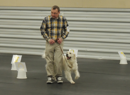 Effie and Bruce - Rally Obedience Trial