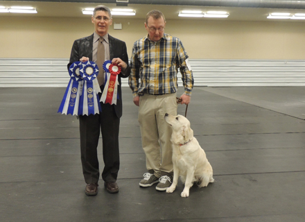 Ida – Judge Ted Leslie – Rally Novice Title – Class Placements x3, Title Rossette Web Crop