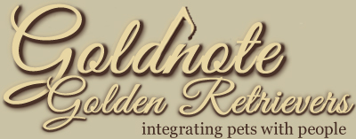 Goldnote Golden Retrievers