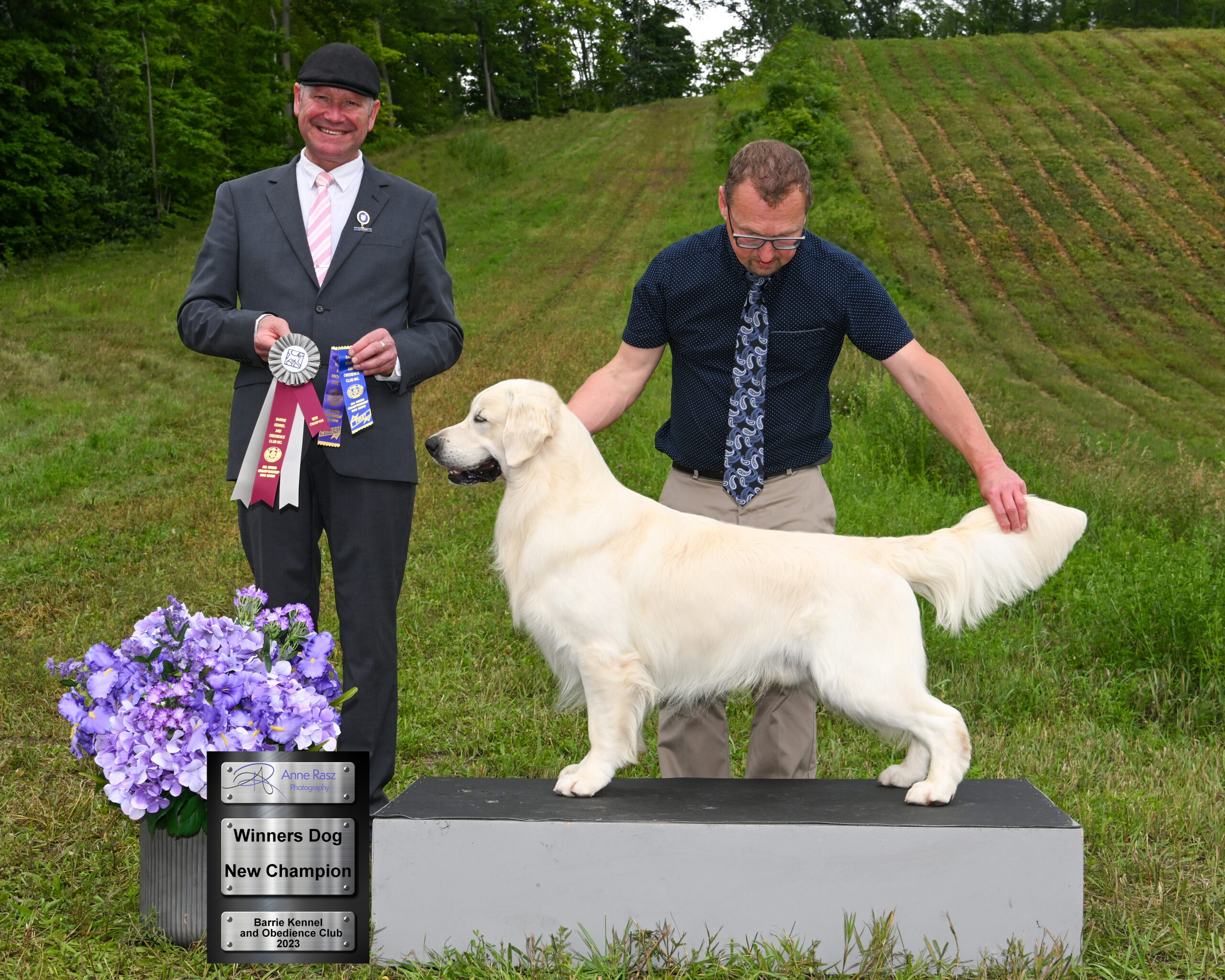 Sire CanCH Goldnote's a Marquess in the Making - Pelham