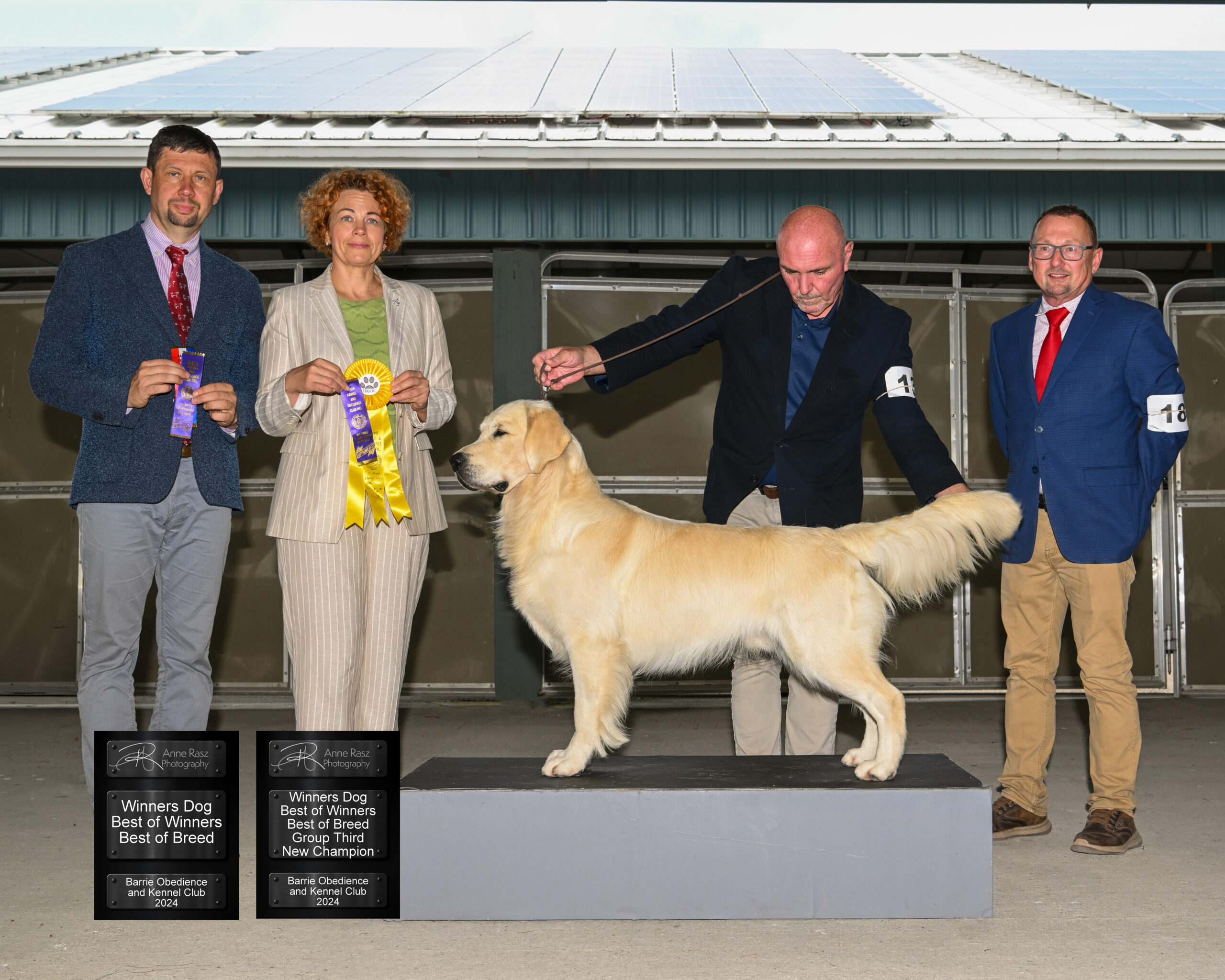 Sire Grand Champion Goldnote's Theoretically Speaking - Skinner