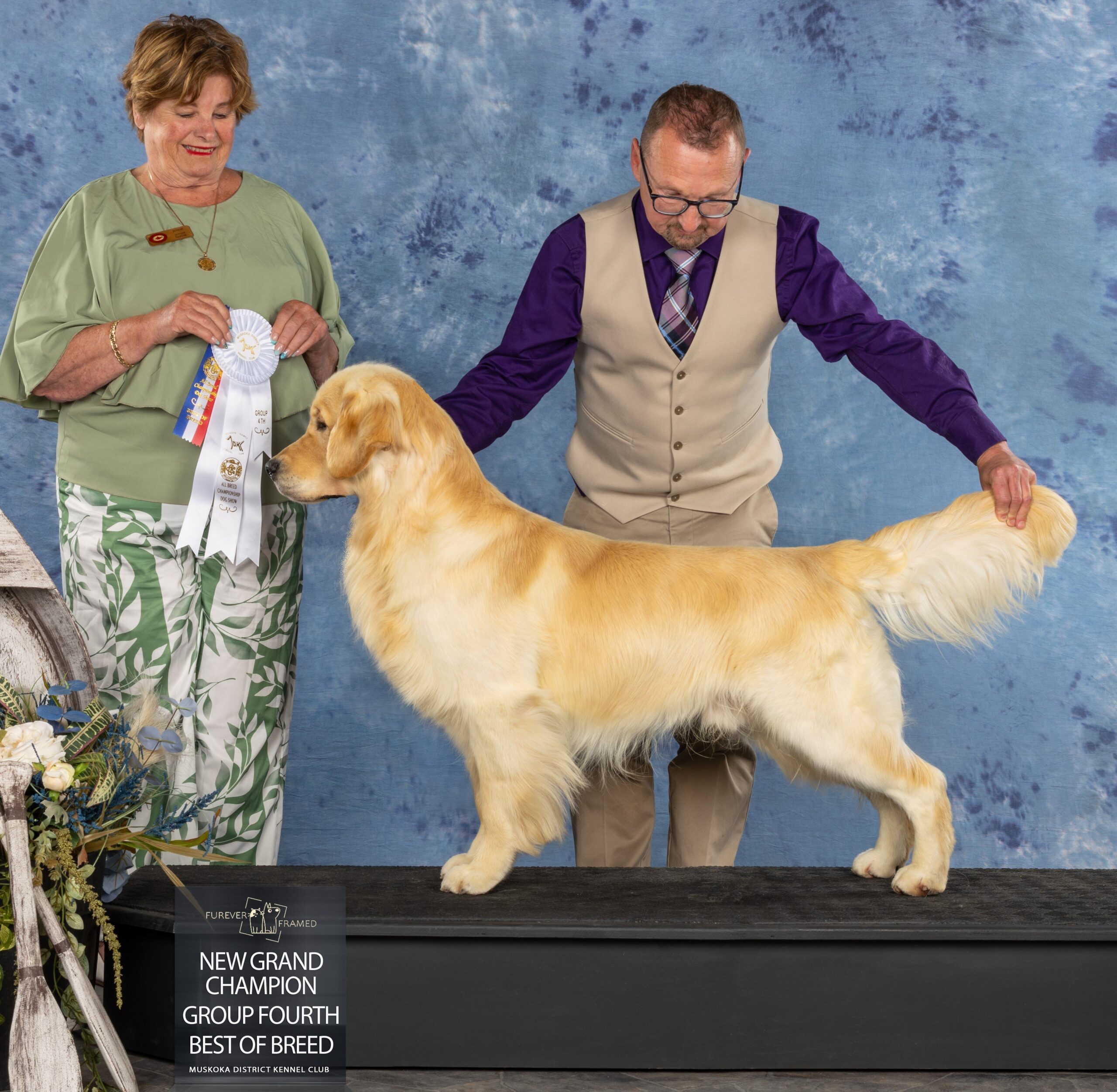 Sire Grand Champion Goldnote's the Courage of Conviction - Tavish Sire Grand Champion Goldnote's the Courage of Conviction - Tavish